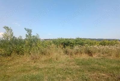 De vanzare teren intravilan in Curtea de Arges De vanzare teren intravilan in Curtea de Arges - 3