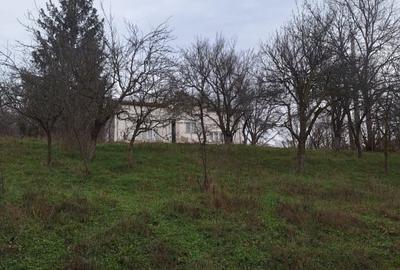 Teren Construcții intravilan de 5950 mp, în Central - 12