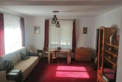 Vila de vanzare in Mun?ii Retezat, pe malul raului - 10