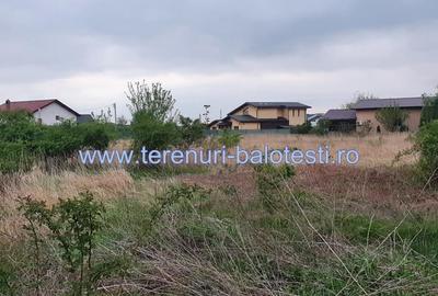 Lot teren Balotesti,langa case noi-50 m de asfalt 600mp - 17