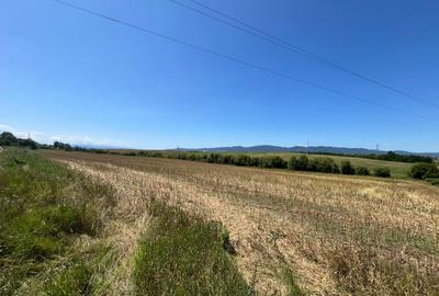 De vânzare teren extravilan – Calea Feldioarei, 10.000 mp - 3