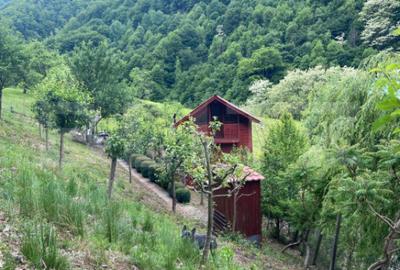 Casă cu 3 camere cu Teren 1470 Mp în Șugag - 2