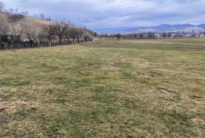 Spațiu comercial, în Brădet - 4