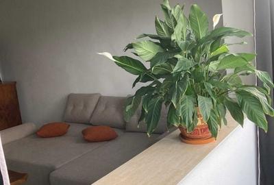 Apartament pet-friendly decomandat cu 2 camere, zona Dorobantilor - 3