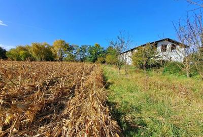 Teren Construcții intravilan de 195000 mp, în Central - 1
