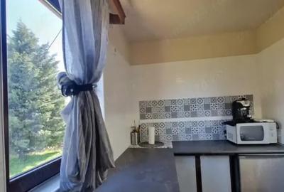 Inchiriere casa individuala cu Teren 1300mp Giurgiu Iepuresti - 2