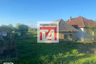 Casă cu 2 camere cu Teren 2334 Mp în Central - 3
