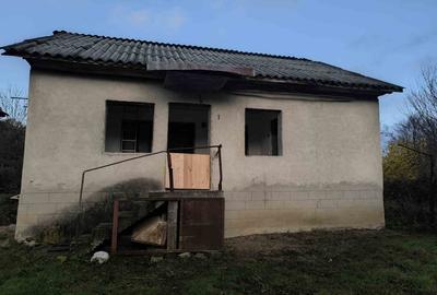 Casă în sat Ursoaia, com. Peșceana, jud. Vâlcea - 10