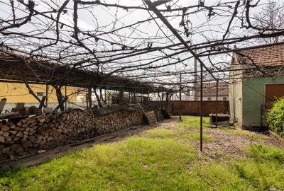 RECO casa cu teren generos in Santion - 5