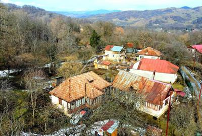 Teren Construcții de 3948 mp, în Provița de Sus - 1