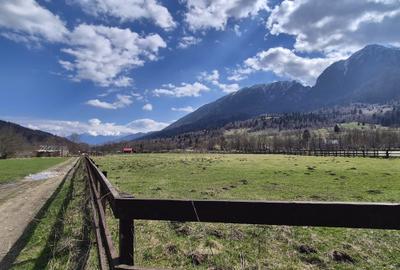 Teren Construcții intravilan de 1200 mp, în Plaiul Foii - 4