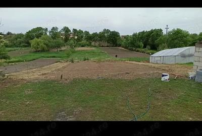 Vand casa sat Gelu jude?ul Timi? - 4