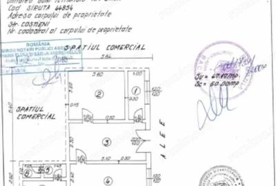 3 camere, parter, SPATIU COMERCIAL, 47 mp, Costieni - 11