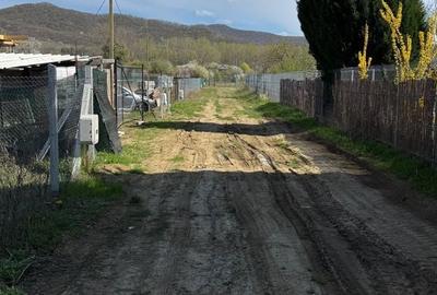 Spațiu comercial, în Bujoreni - 5