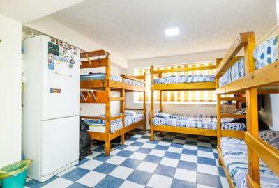 Casă individuală cu 12 camere cu Canalizare în Mihai Bravu - 3