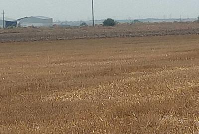 Spațiu comercial, în Central - 2