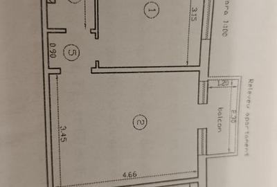 Apartament cu 2 camere semidecomandat în Podu Roș - 8