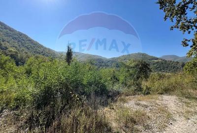 Teren de 702 mp, în Buru - 9