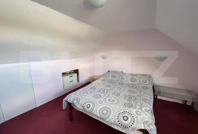 Casa familiala, suprafata de 133 mp, cu gradina de 4700 mp - 15
