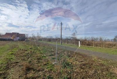 Teren de 1330 mp, în Drăgoiești - 1