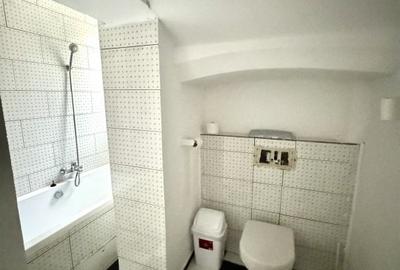 Vanzare demisol inalt Dacia -Alecu Russo - 9