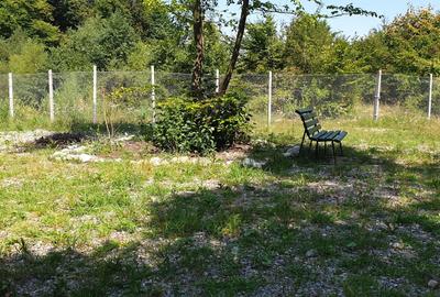 Teren rezidential Bunloc zona de case - 2