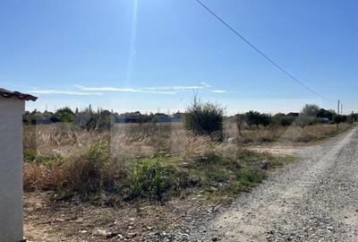 Teren 500 mp, in Albesti - 3