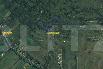 Teren extravilan 1,5 h pentru investitie - 1