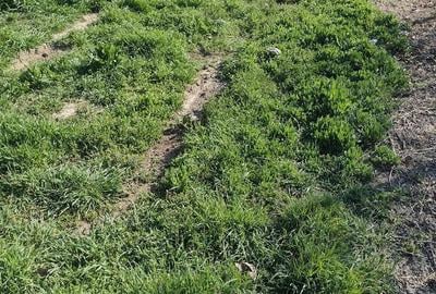 Teren de 400 mp, în Central - 4