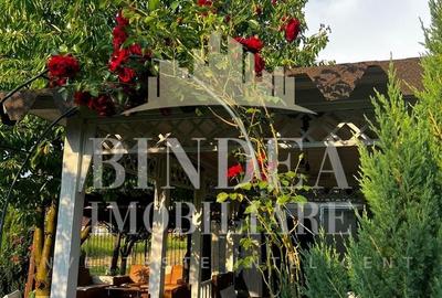 Teren intravilan imprejmuit, vegetatie matura 1200mp Sag Manastire - 9