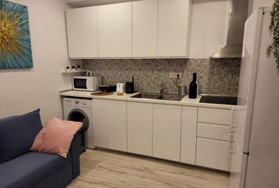 De inchiriat apartament 2 camere - Parcul Carol - 13