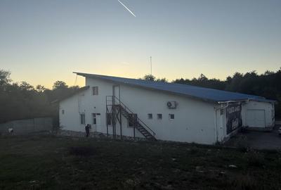 Spațiu comercial, de 600 mp, în Cărpiniș - 7