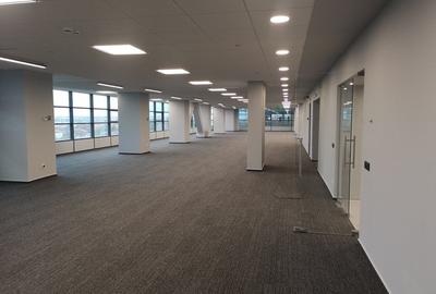 PIPERA-Porsche inchirieri/vanzari spatii cladire clasa A 200 mp-15000 mp - 11