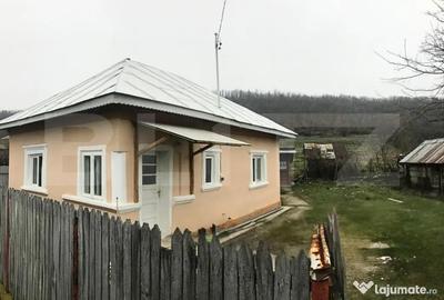 Casă cu 2 camere cu Teren 1724 Mp în Central - 8
