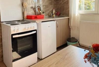 Garsonieră în Dristor