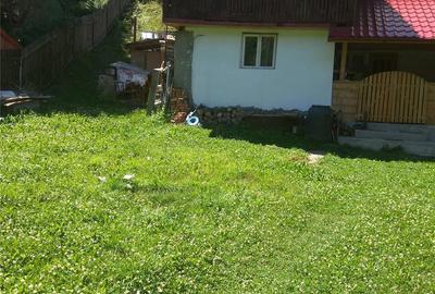 Teren de 2000 mp, în Bradu - 2