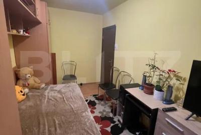 Apartament cu 3 camere semidecomandat, mobilat în Brazda lui Novac - 9