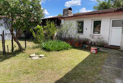 Casa Livadia Comuna Baru - 5