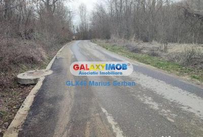 Teren în Răzvad - 7
