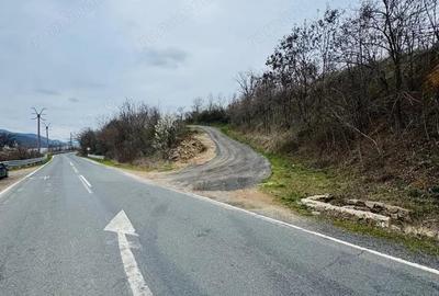 AV644 Teren intravilan, BERZASCA-DUNARE, 6042mp, posibilitate investitie turism - 6