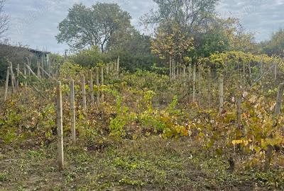 Vila cu teren de vanzare la doar 5 km de Ruse - 4