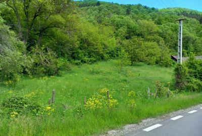 Teren de 1907 mp, în Lungești - 2