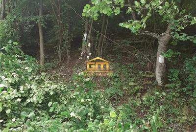 Teren 7.933 mp in Malaia, lang #259; lacul Br #259;di #537;or - 3