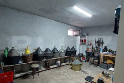 Casa/Spatiu Comercial, 620 mp, pe 3 nivele: demisol, parter, - 17