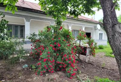 Casă cu 6 camere cu Teren 1351 Mp în Cernica - 7