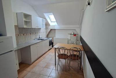 Calea Sagului,  mobilat si utilat, perfect pentru investitie - 5