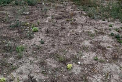 Spațiu comercial, în Covaci - 4