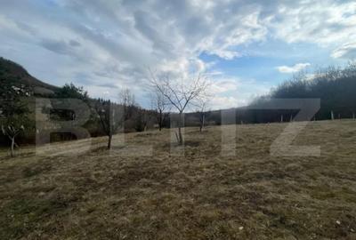 Teren de 2526 mp, în Central - 6