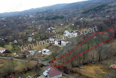 Teren de vanzare in comuna Arefu, jude? Arge?. - 3