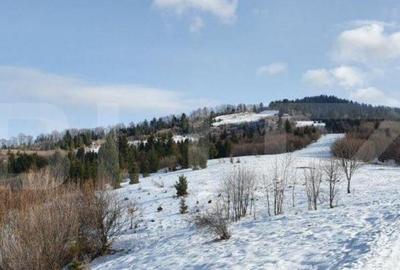 Teren de 7300 mp, în Central